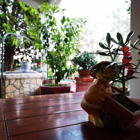 Casa Vacanze Sonia Lägenhet Amelia Exteriör bild