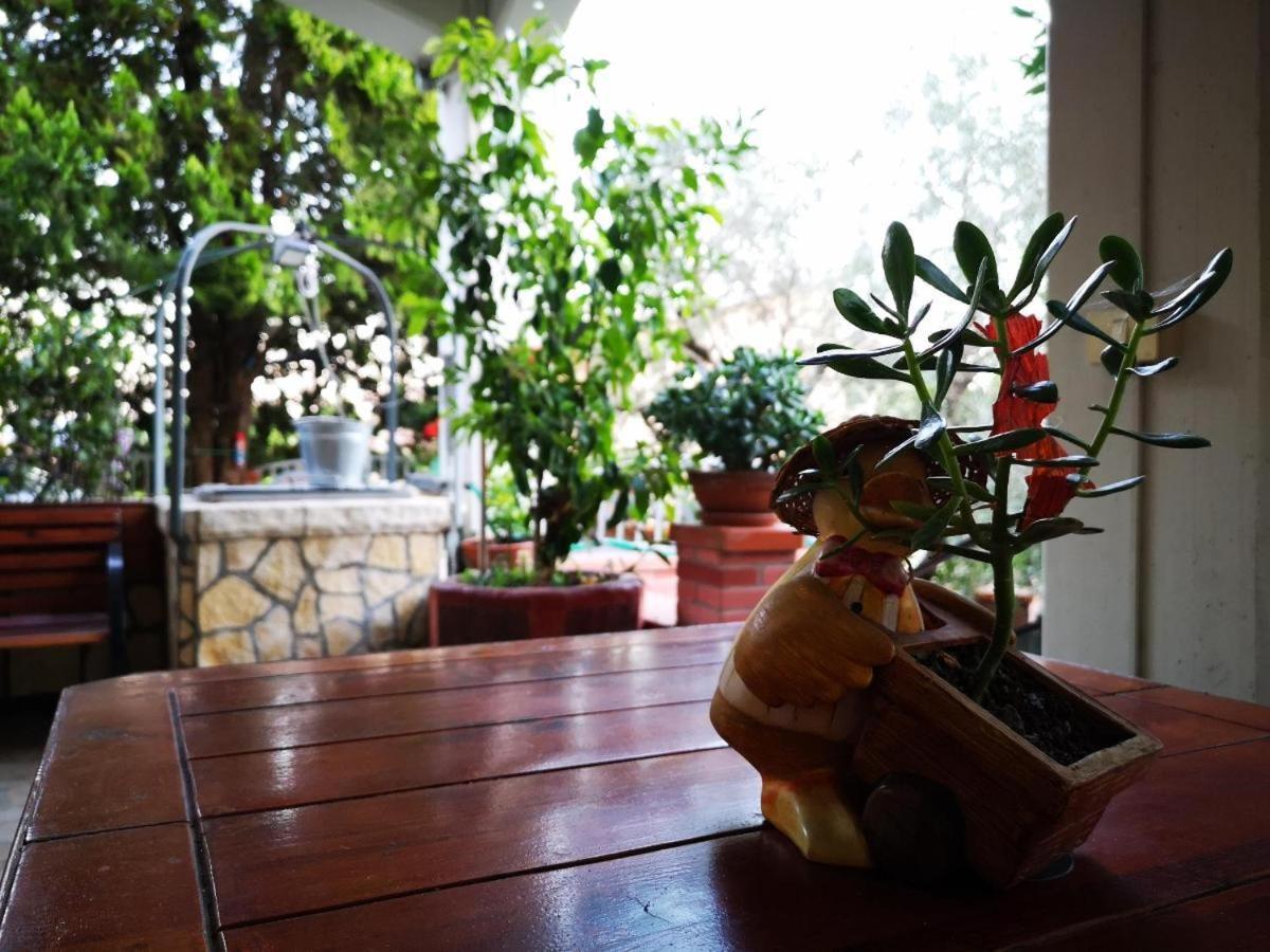 Casa Vacanze Sonia Lägenhet Amelia Exteriör bild